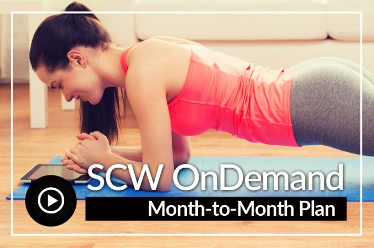 OnDemand Monthly Subscription