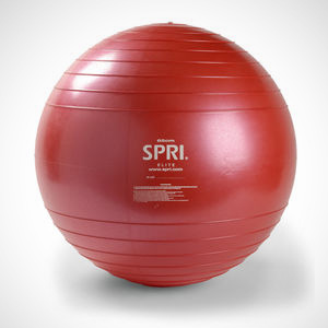 55cm SPRI Stability Ball
