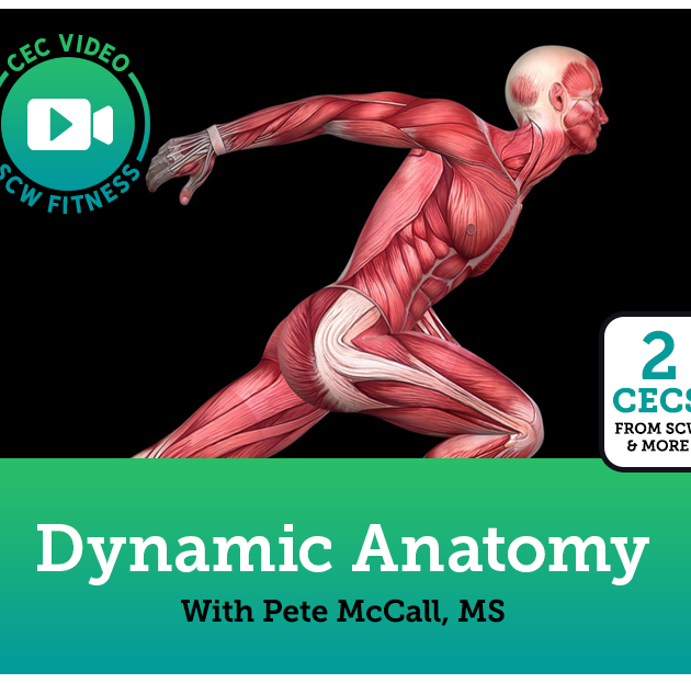 CEC Video Course: Dynamic Anatomy: Core/Upper Body