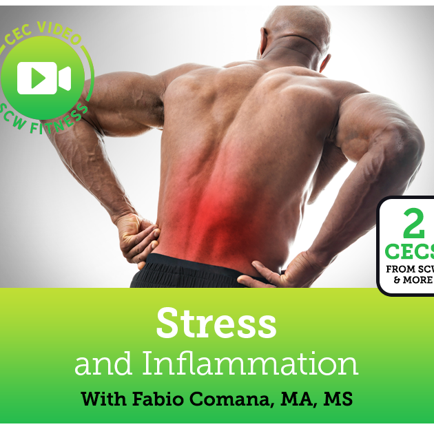 CEC Video Course: Stress and Inflammation