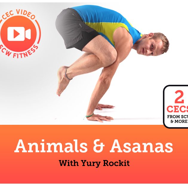 CEC Video Course: Animals & Asanas
