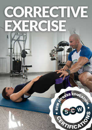 Corrective Exercise Online Certification