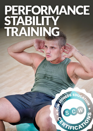 Performance Stability Online Certification