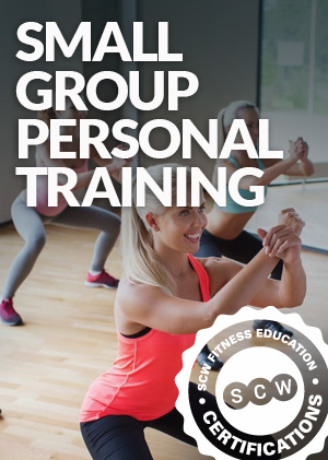 Small Group Personal Training Online Certification