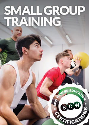 Small Group Training Certification