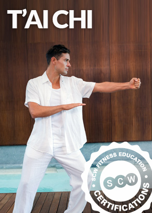 T'ai Chi Online Certification