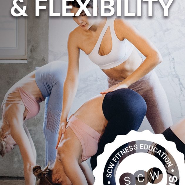 Stretching & Flexibility Online Certification